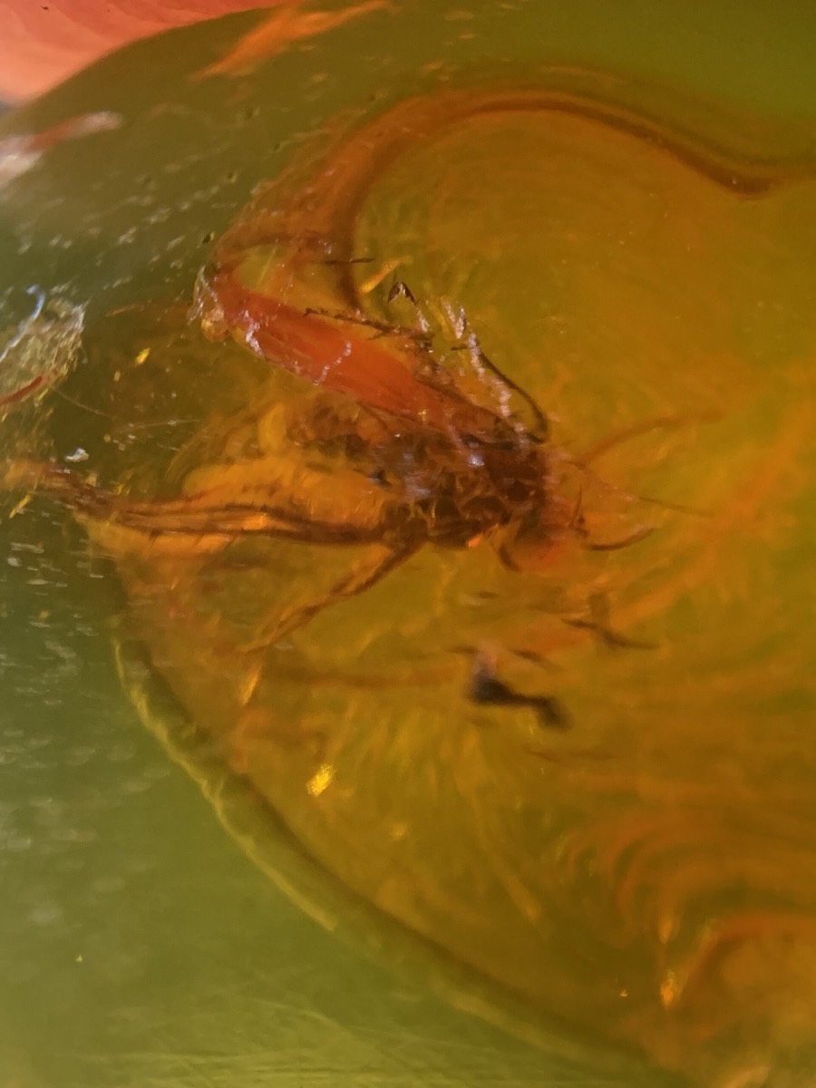 Amber