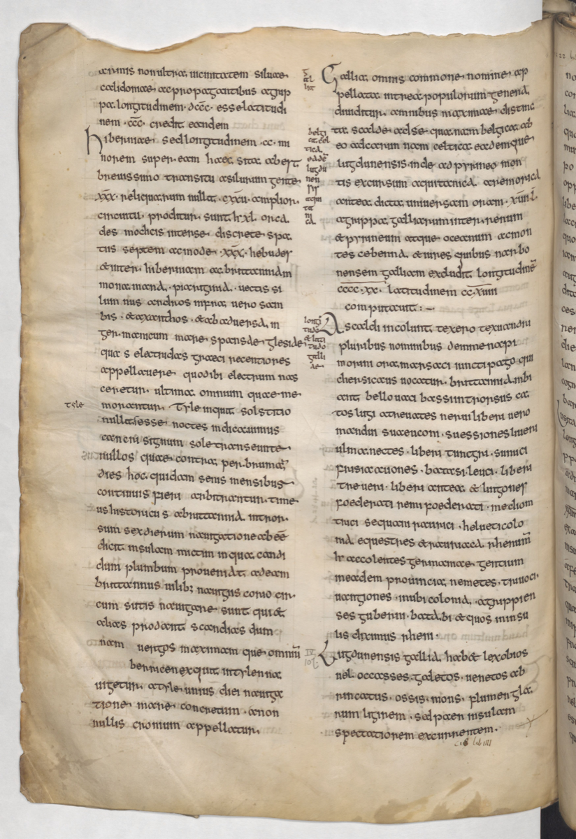 A manuscript of Pliny’s Natural History
