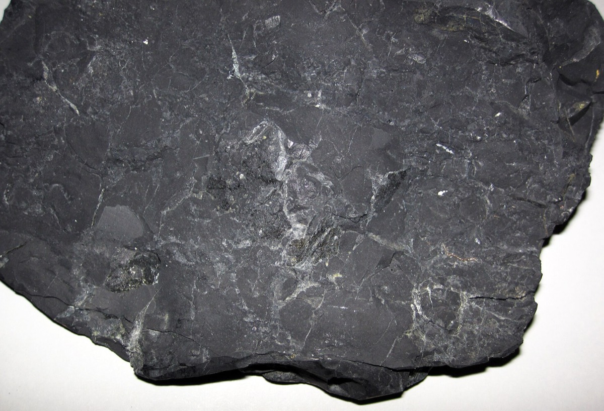 Shungite